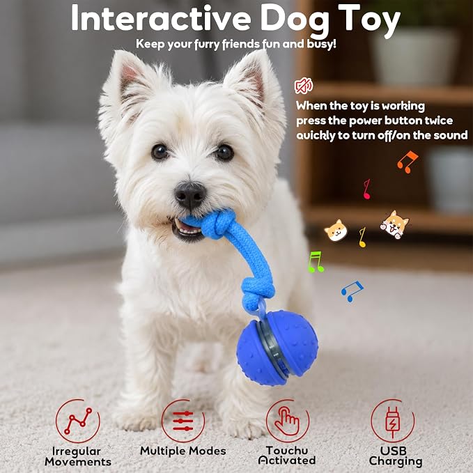 Interactive Dog Toys, Automatic Moving Dog Ball with Rope, Motion Activated, Squeaky, USB Rechargeable, Active Rolling Ball for Puppy
