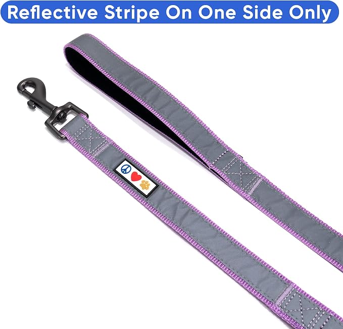 Pawtitas Double Handle Dog Leash Heavy Duty for Training No Pull Leashes Ideal for Medium and Large Dogs | Great for Walking, Running & Training Dog Leash - Medium/Large - Purple