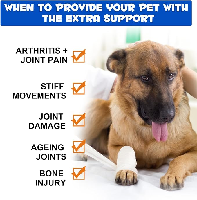 Joint Supplement for Dogs – Glucosamine Chondroitin with Turmeric & Devils Claw – Natural Relief for Senior, Active Adults & Puppy Hip & Joint Health – Support for Inflammation & Cartilage – 2 fl oz