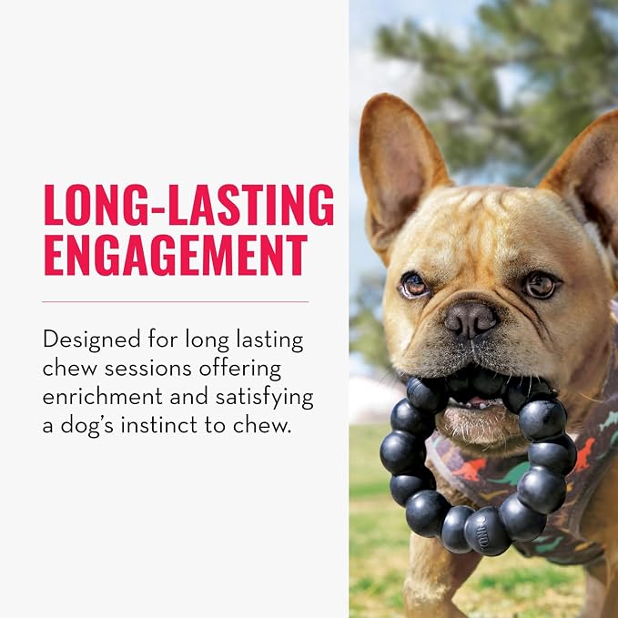 KONG Extreme Ring, Durable Natural Rubber Chew Toy, for XL Dogs | Made from KONG Durable Natural Rubber, a Ring Toy That Supports Healthy Chewing, Dental Health & Play Instincts