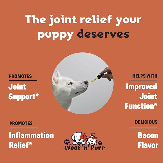 Dog Glucosamine - Supports Hip & Joint Health, Skin & Coat, & Much More - Hip and Joint Supplement - Dog Joint Supplement - Glucosamine Chondroitin for Dogs - 1 fl oz