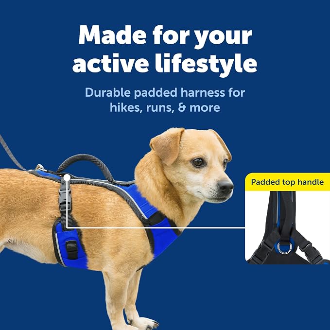 PetSafe EasySport Dog Harness, Blue, Extra Small | Padded, Elastic Neckline Harness for Active Dogs, Reflective Piping for Visibility, Top Control Handle, Rear Leash Clip