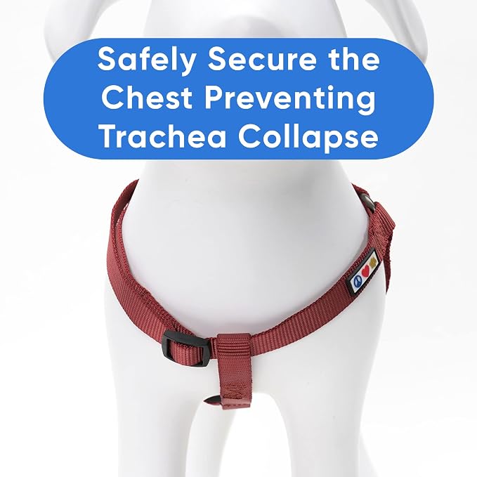 Pawtitas Solid Step-in Dog Harness – Adjustable No-Pull Vest for Puppies to Seniors, Safe & Comfortable L Marsala