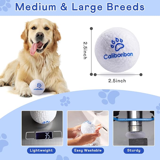 Durable Dog Herding Ball, ETPU, Floating, Interactive Bouncy