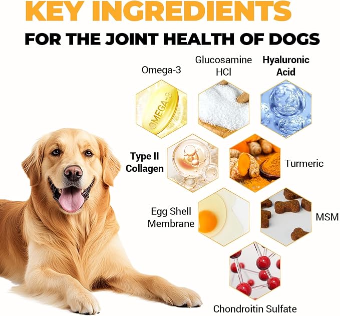 360 Chews Glucosamine Chondroitin Joint Chews for Dogs, Chicken Flavor 13 in 1 with Glucosamine, Chondroitin, MSM, Omega-3 Support Hip & Joint Support - Joint Pain Relief Flavored Fit All Breed