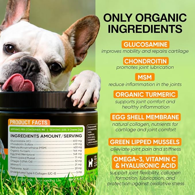 Hip and Joint Supplement for Dogs with Glucosamine, Chondroitin & MSM