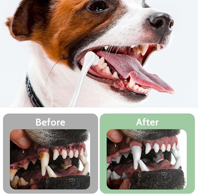 salbsever 4Pcs Dog Toothbrush Pet Toothbrush Soft Mini Cat Tooth Brush Puppy Tooth Brush, Travel Portable Mini Head Deep Clean Kit for Small Dog & Cat, Puppy, Kitten