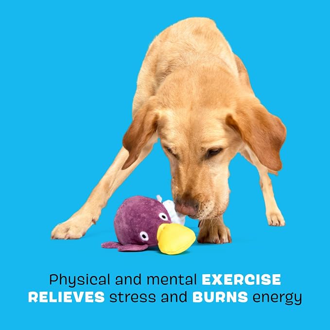 BarkBox Drongo Platypus Dog Toy - for Small to Medium Dogs | Plush Rip & Reveal Toy with Whip-N-Flip Tail, 2 Squeakers & Hidden Bonus Toys Inside
