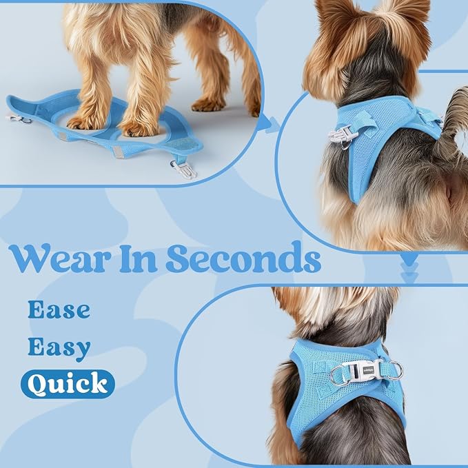 rabbitgoo Step-in Small Dog Harness, Puppy Vest for Small Sized Pet | Easy Put on and off, Lightweight, Soft, Breathable Quick-Dry Air Mesh for Comfortable Secure Walking, Blue S
