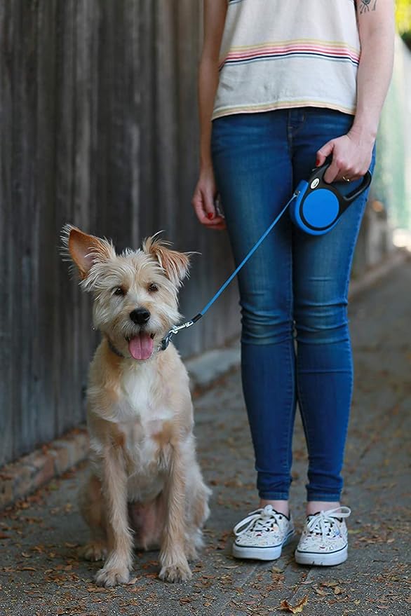 Taglory Retractable Dog Leash, One-Handed Brake, 16ft, Up to 44 lbs, Blue | More Freedom While Staying in Control, Smooth Retraction, Tangle-Free Design, Easy-Grip Handle, Daily Neighborhood Walks