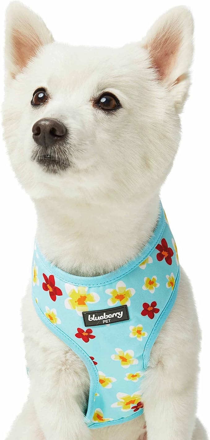 Blueberry Pet Soft & Comfy Fragrant Plumeria Dog Harness Vest, Aqua, Chest Girth 16" - 21", Small, Adjustable Harnesses for Dogs