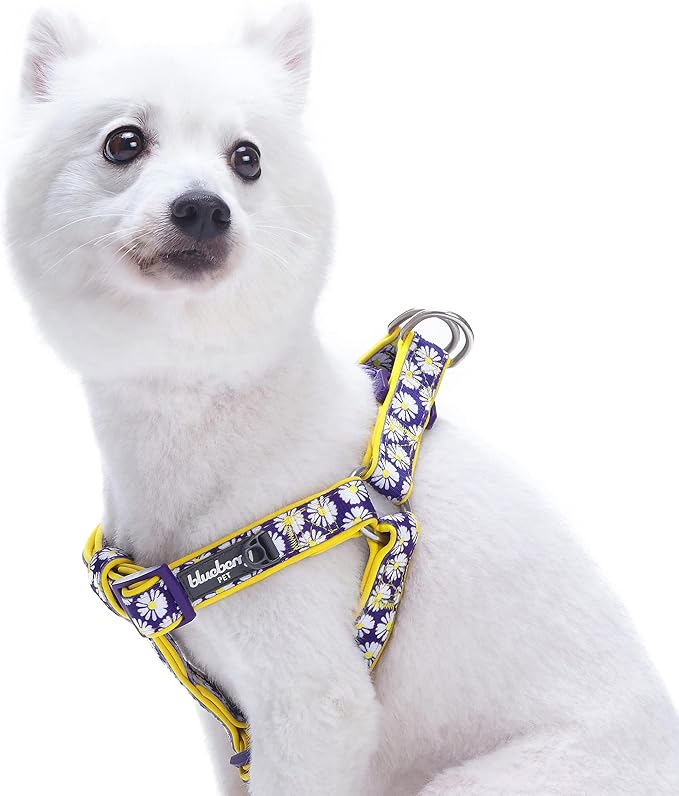Blueberry Pet 2 Patterns Soft & Comfy Step-in Loving Daisy Prints Padded Dog Harness, Chest Girth 16.5" - 21.5", Small, Adjustable Harnesses for Dogs