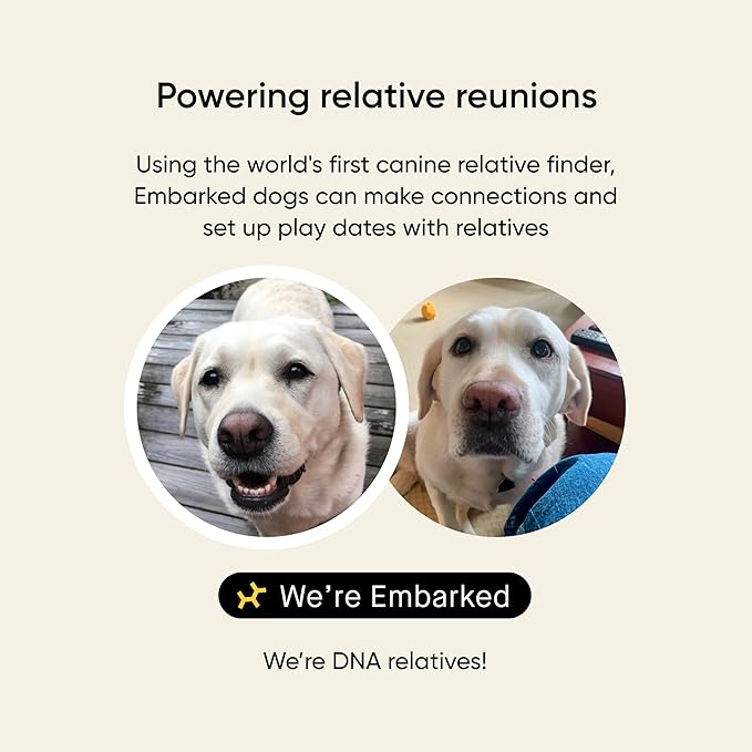 Embark Breed & Health Dog DNA Test