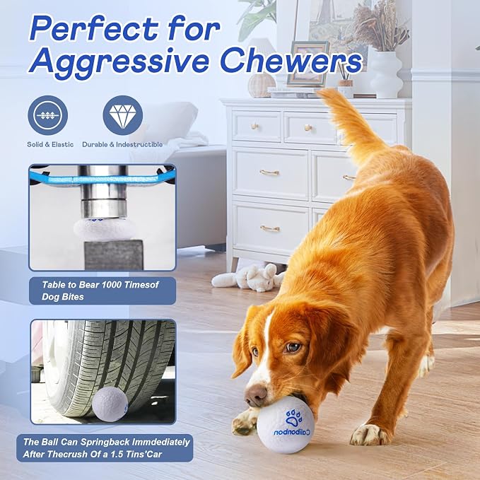 Durable Dog Herding Ball, ETPU, Floating, Interactive Bouncy