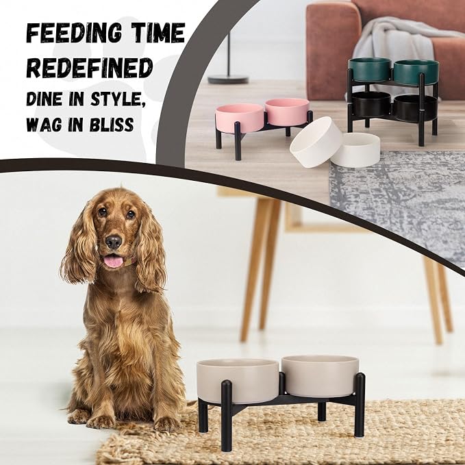 Raised Ceramic Dog Bowl Set - Elevated Double Dishes with Stainless Steel Stand - Food and Water Bowls for Small to Medium Dogs - Each Holds 3.5 Cups (29.57 fl oz) - Green