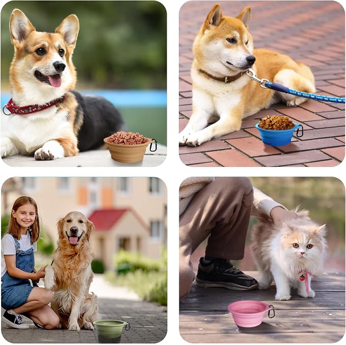 PetBonus Collapsible Dog Bowls, 2 Pack, Purple, Pink