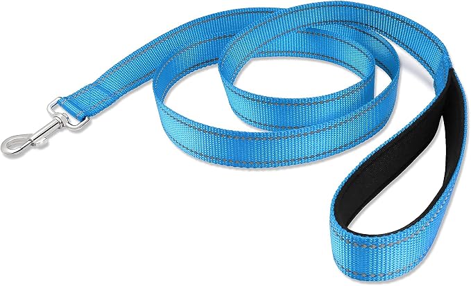 Joytale Dog Collar Bundle with 5FTx3/4 Width Double-Sided Reflective Dog Leash,5FT Nylon Dog Leashes with Nylon Dog Collar for Small Dogs,SkyBlue