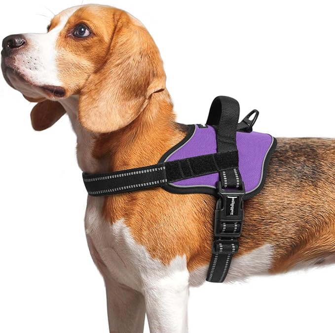 rabbitgoo No Pull No Choke Pet Vest, Adjustable Pet Harness with Molle | Medium Sized Dog Harness, Reflective, Easy Wearing with One Buckle for Walking, Training, Purple, M