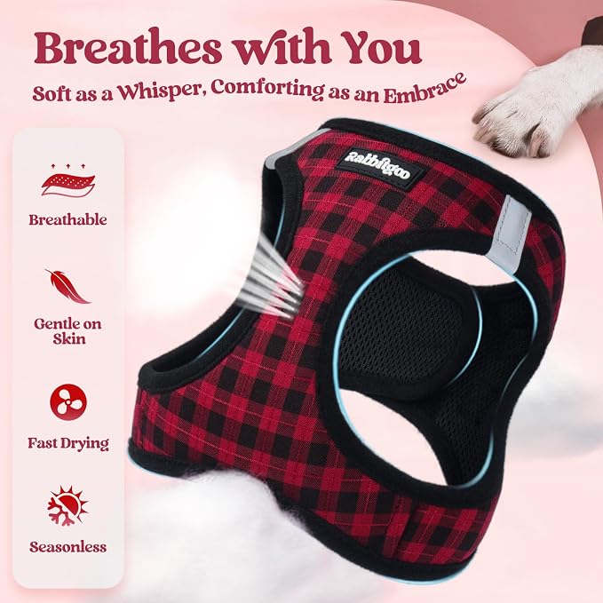 rabbitgoo Dog Harness Medium Sized and Leash Set, Step-in Puppy Pet Vest | Light, Soft, Breathable Air Mesh, Easy on and Remove with Hook & Loop, Secure Reflective for Walking, Red Check L
