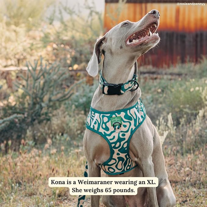 Lucy & Co. x Parks Project Geyser No-Pull Dog Harness, Adjustable Front Clip Harness with Comfort Padding, Small