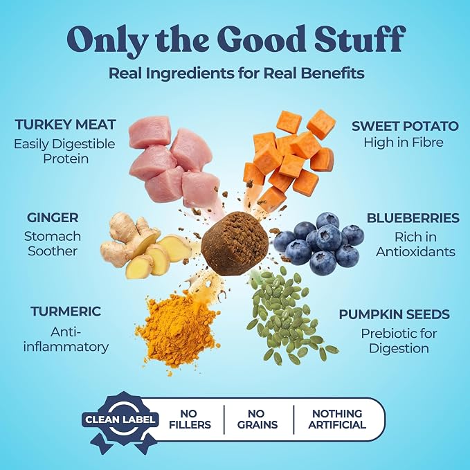 Healthybud Dog Probiotic Chews – Digestive & Gut Health Support – Prebiotic, Fiber, Pumpkin & Sweet Potato – Stool Hardener & Sensitive Stomach Relief – Made in Canada (14.1oz)