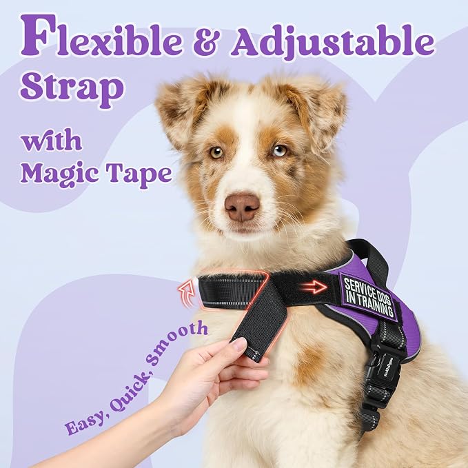 rabbitgoo No Pull No Choke Pet Vest, Adjustable Pet Harness with Molle | Medium Sized Dog Harness, Reflective, Easy Wearing with One Buckle for Walking, Training, Purple, M