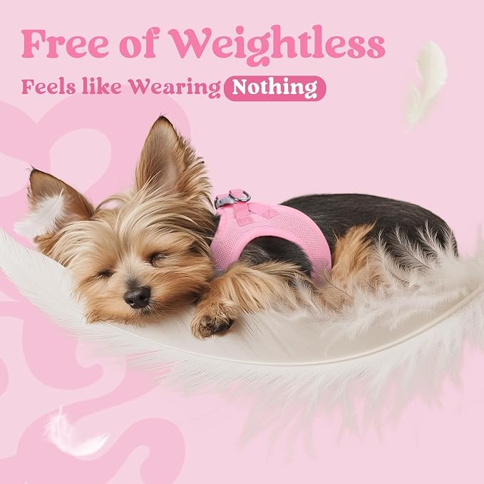 rabbitgoo Step-in Small Dog Harness, Puppy Vest for Small Sized Pet | Easy Put on and off, Lightweight, Soft, Breathable Quick-Dry Air Mesh for Comfortable Secure Walking, Light Pink M