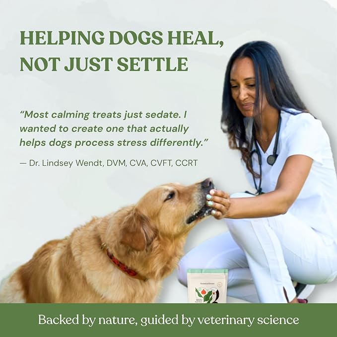 Balance + Calm Calming Dog Treats, Plant-Based with Ashwagandha, Peanut Butter & Pumpkin, Stress & Anxiety Relief, Grain-Free, Organic, 2-Pack Bundle