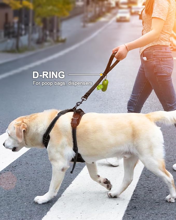 Joytale Short Dog Leash for Close Control & Training, 12", Black | Padded Comfort Handle, Reinforced Nylon Webbing, Secure Metal Clip, for Busy Streets & Heel Training