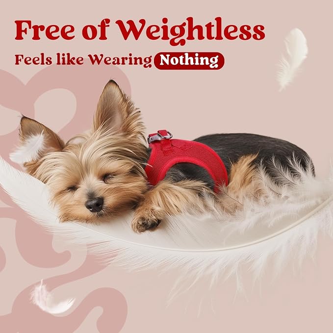 rabbitgoo Step-in Small Dog Harness, Puppy Vest for Small Medium Sized Pet | Easy Put on and off, Lightweight, Soft, Breathable Quick-Dry Air Mesh for Comfortable Secure Walking, Red L
