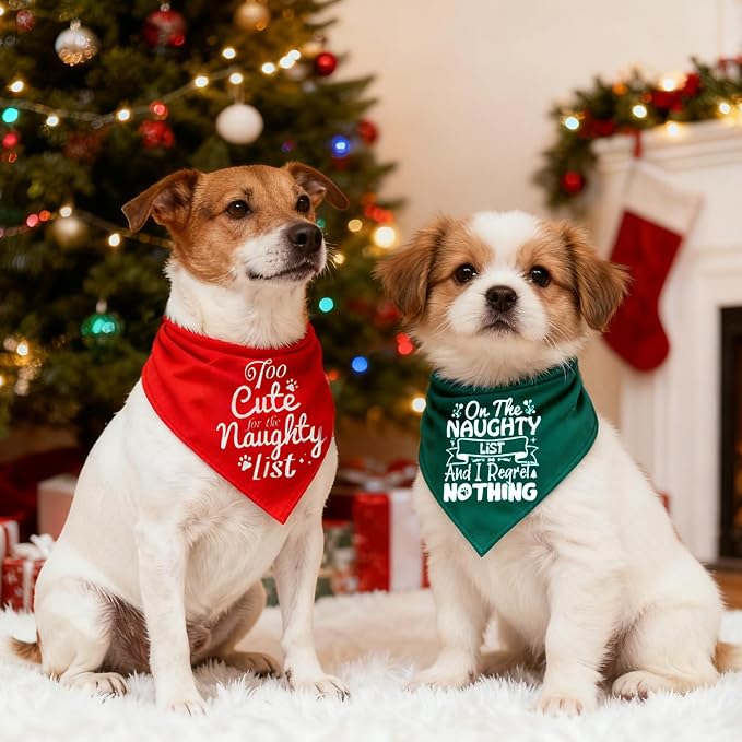 Christmas Dog Bandanas Naughty & Nice Idea Funny Holiday Stocking Pet Scarf Gifts, Large, Medium, Green