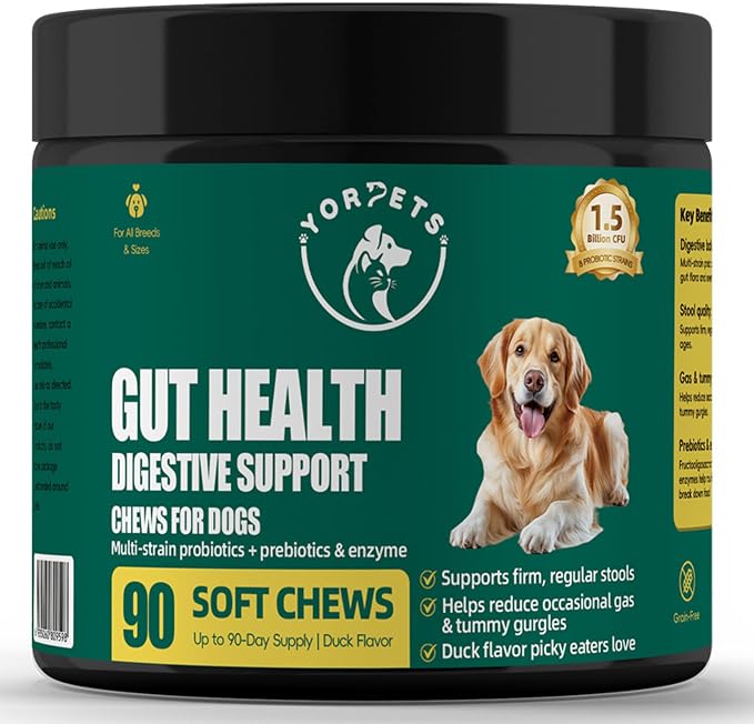 Dog Probiotic Soft Chews – Gut Health & Digestive Support with 1.5 Billion CFU Probiotics, Prebiotics & Enzymes – Helps Improve Stool Quality – All Breeds