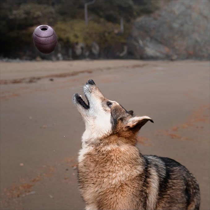 BarkBox Pine Cone Dog Toy | Natural Rubber, Treat Dispensing, Durable & Wacky Bounce | Dog Toy for Aggressive Chewers