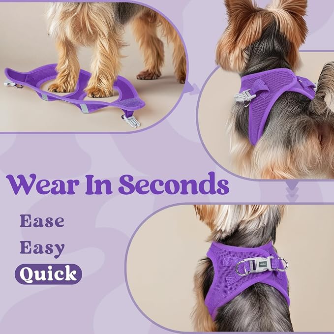 rabbitgoo Step-in Small Dog Harness, Puppy Vest for Small Sized Pet | Easy Put on and off, Lightweight, Soft, Breathable Quick-Dry Air Mesh for Comfortable Secure Walking, Purple XS