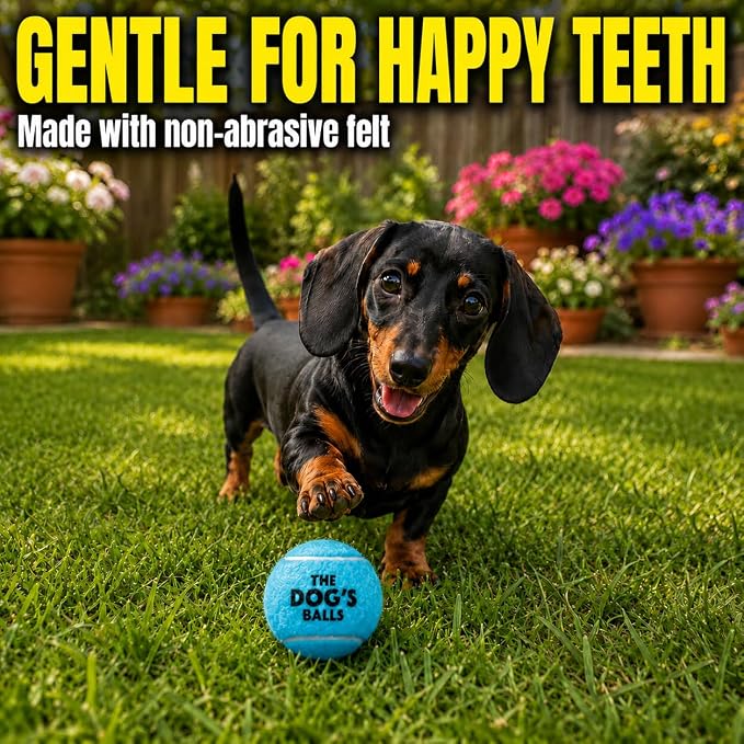The Little Dog’s Balls Small Dog Tennis Balls 6-Pack Blue Floats in Water | Our fetch balls combine non-abrasive felt exterior and a thicker rubber core Durable Dog Toy for Outdoor Play & Training