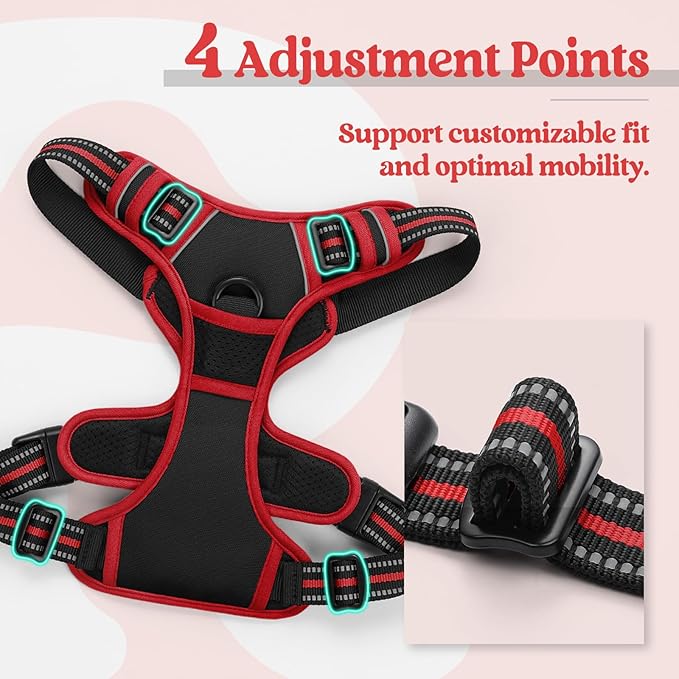 rabbitgoo Dog Harness, No Pull for Large Dogs with 2 Leash Clips, Pet Vest | No Choke with Handle, Adjustable Soft Padded, Reflective, Easy Control for Walking, Black & Red, X-Large