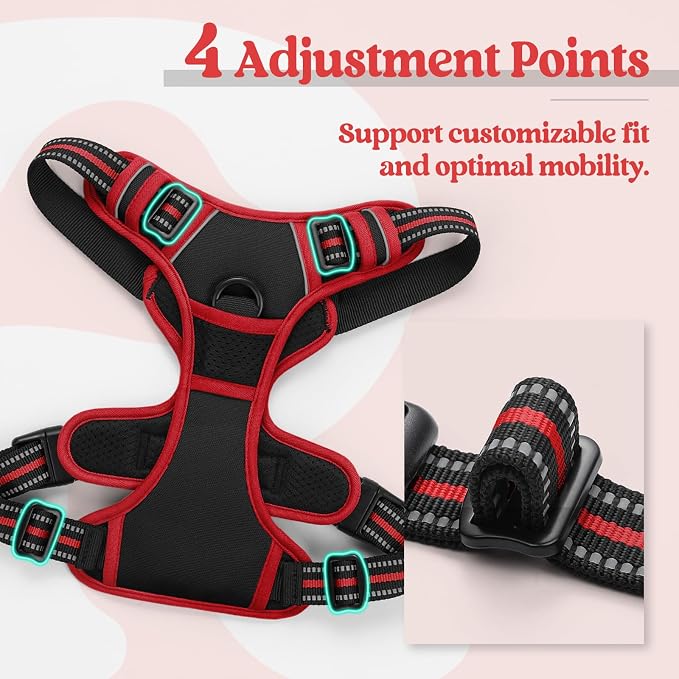 rabbitgoo Dog Harness, No Pull for Small Dogs with 2 Leash Clips, Pet Vest | No Choke with Handle, Adjustable Soft Padded, Reflective, Easy Control for Walking, Black & Red, Small