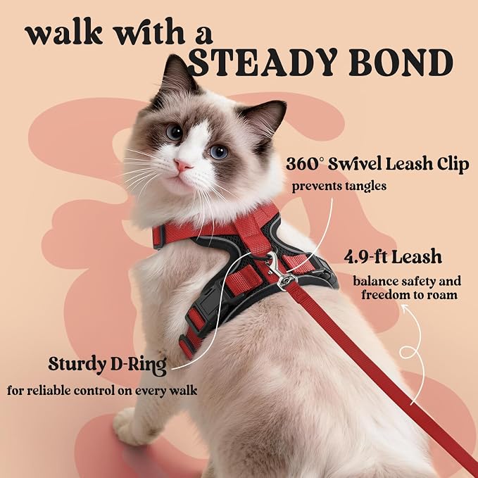 rabbitgoo Cat Harness and Leash Set, Escape Proof Vest, Black & Red | Soft Breathable Mesh, Easy Adjustable Fit, Snap Buckles, Sturdy Clip, Reflective Strips, for Small & Average Cats Walks, Xs