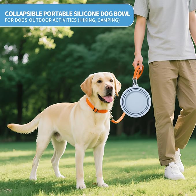 SLSON Macaron Collapsible Dog Bowl, 2 Pack, Large, Blue & Light Grey