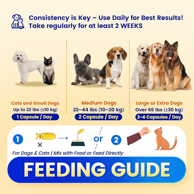 Fish Oil Pet Up to 97% Omega 3, 600 mg Omega 3 Per Soft Gel, Dog Fish Oil Supplement ≥95% EPA and DHA, Promotes Skin, Coat, Joint, and Immune Health, 100 Capsules
