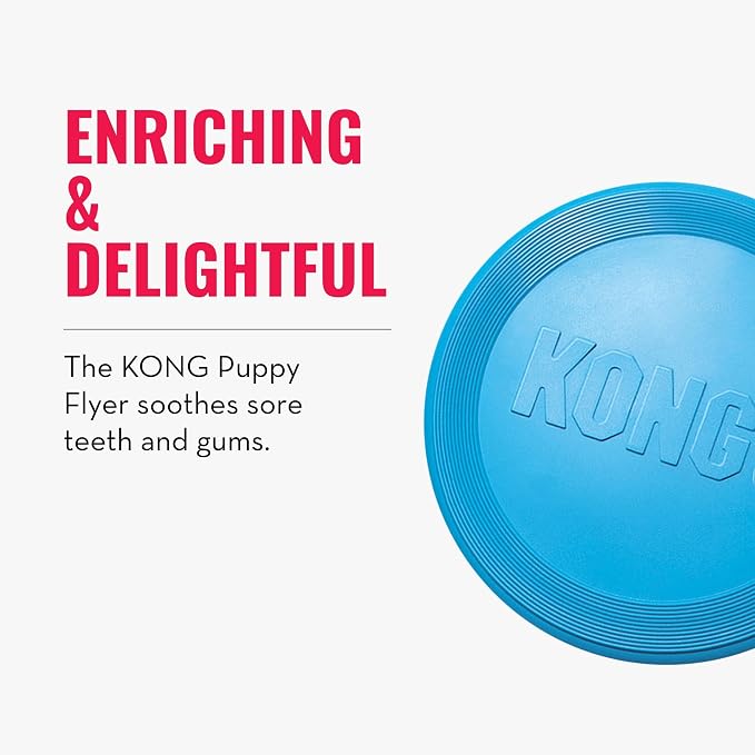 KONG Puppy Flyer, Soft Rubber Flying Disc Toy, for Small Puppies, Blue | Soft Gentle Rubber Flying Disc Made for Growing Puppies, Great for Easy Fetch & Active Outdoor Playtime