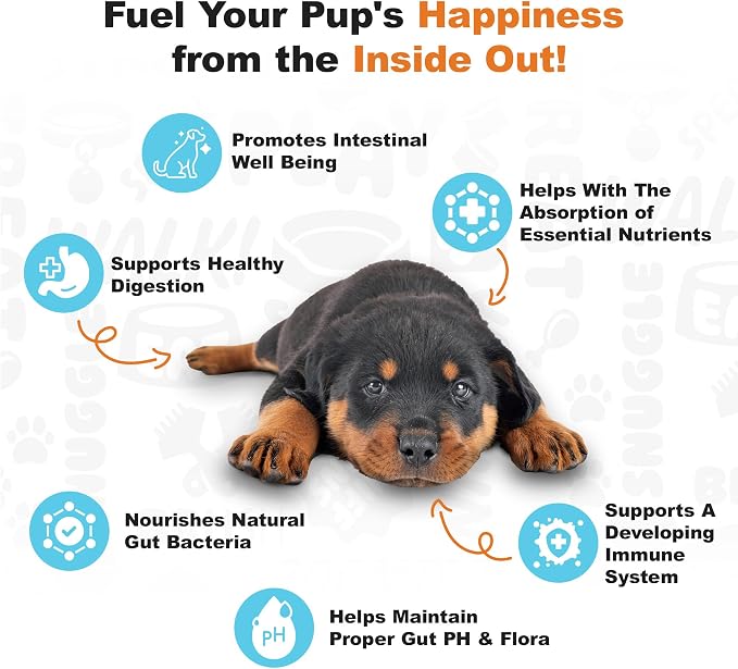 Doggie Dailies Puppy Probiotic Soft Chews, Digestive, Pumpkin, 120 Count