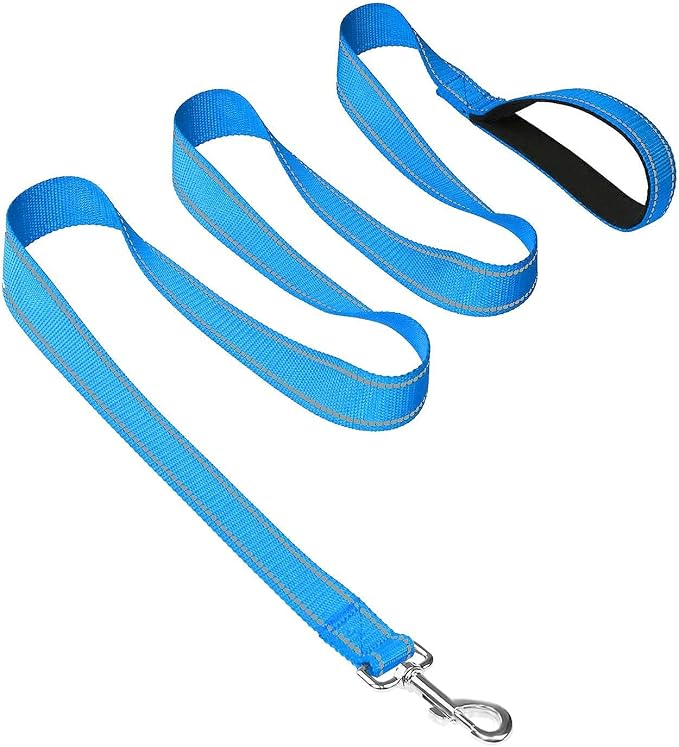 Joytale 6FT1" Dog Leash and Collar (16-24"), Reflective Soft Neoprene Padded Pet Collars and Leashes for Large Dogs, Sky Blue