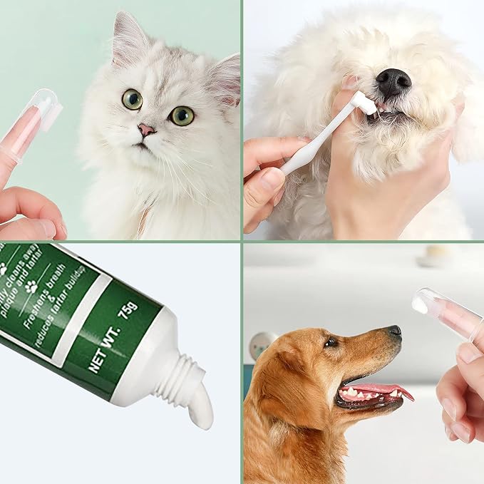 Pet Dog Tooth Brushing Kit - Dog Finger Toothbrush, 360° Toothbrush & Beef Flavor Toothpaste for Dogs Puppy Cats Teeth Oral Cleaning, Fresh Breath, Reduces Plaque & Tartar Buildup Dental Care Kit