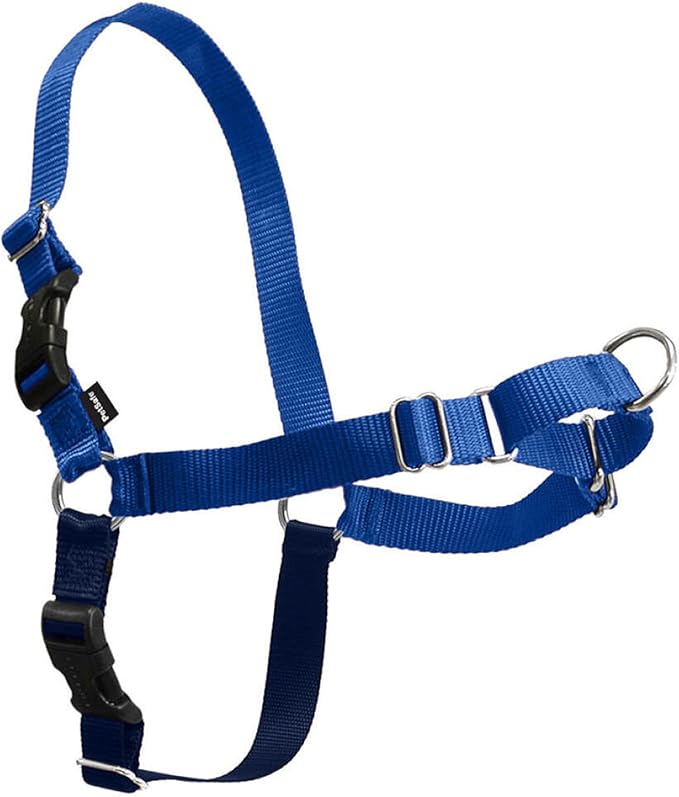 PetSafe Easy Walk No-Pull Dog Harness - Ultimate Harness to Help Stop Pulling - Pull-Free Walks - Take Control & Teach Better Leash Manners - Patented Martingale Loop Design - Royal Blue, Medium/Large