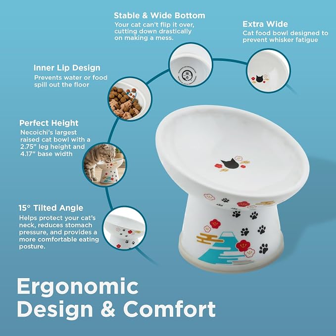 Necoichi Raised Cat Food Bowl – Ceramic Elevated 15° Tilted Cat Bowl for Whisker & Neck Fatigue, Dishwasher Microwave Safe – Non-Slip & Anti Vomiting Ergonomic Design (Fuji, Regular Tilted)