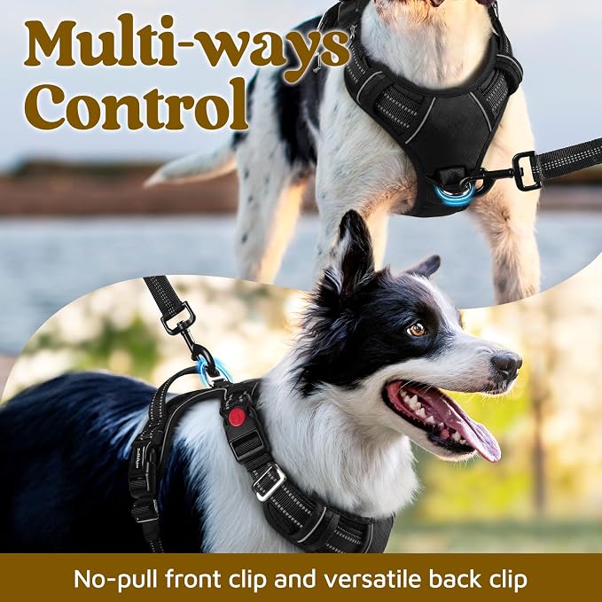 rabbitgoo Dog Harness Medium Sized, No Pull 3 Buckles Easy On & Off | Soft Padded, Walking with Control Handle, Adjustable and Reflective, Black, Medium