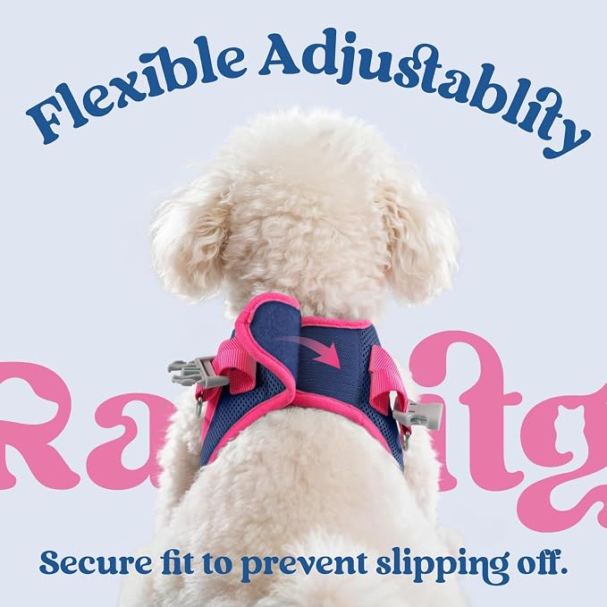 rabbitgoo Dog Harness Small Sized and Leash Set, Step in Soft Vest | Breathable Mesh, Easy Wear with Hook & Loop, Light and Reflective for Walking, Multi-colored, Navy Blue & Rose Red, XS