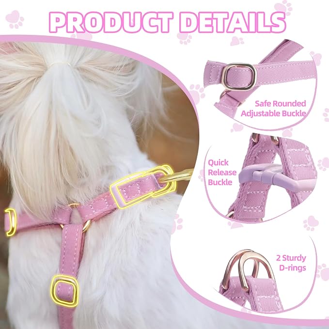 PUPTECK Dog Harness and Leash Set Small Sized, Lightweight Step-in Puppy Harness, Escape Proof No Pull Cute Pet Vest Harnesses, Purple XXS