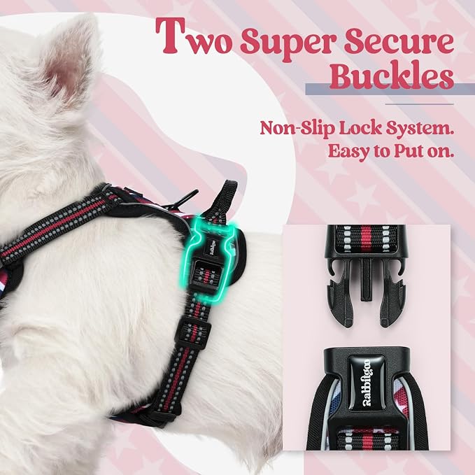 rabbitgoo Dog Harness, No Pull for Small Dogs with 2 Leash Clips, Pet Vest | No Choke with Handle, Adjustable Soft Padded, Reflective, Easy Control for Walking, Red Stripe, X-Small
